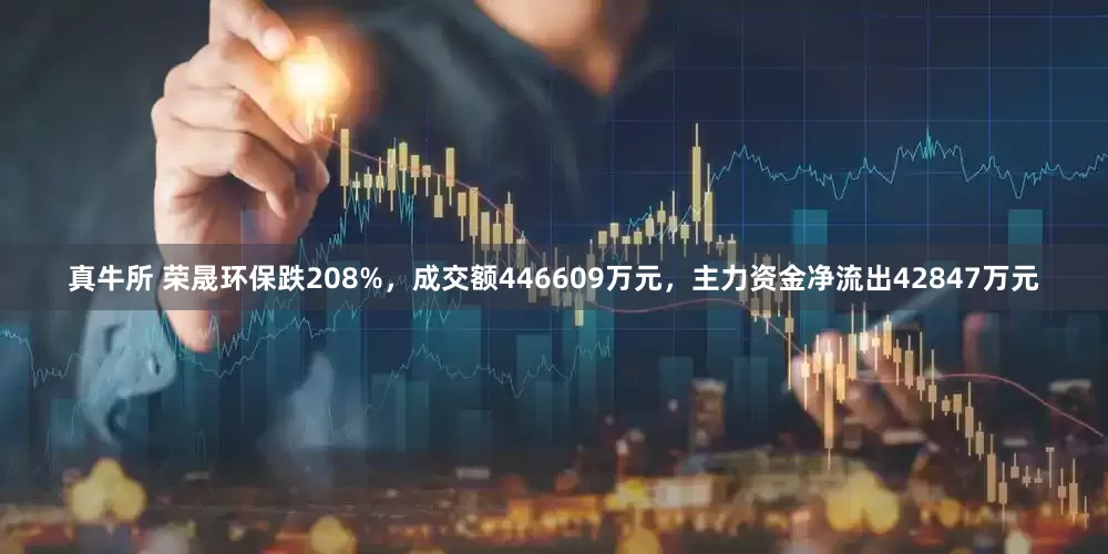 真牛所 荣晟环保跌208%，成交额446609万元，主力资金净流出42847万元